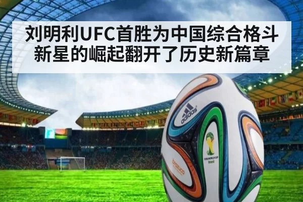 刘明利UFC首胜为中国综合格斗新星的崛起翻开了历史新篇章